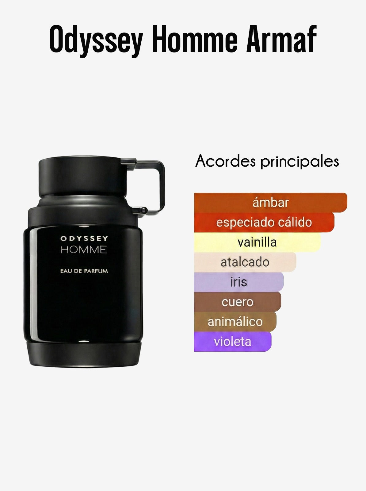ODYSSEY POUR HOMME 100 ML